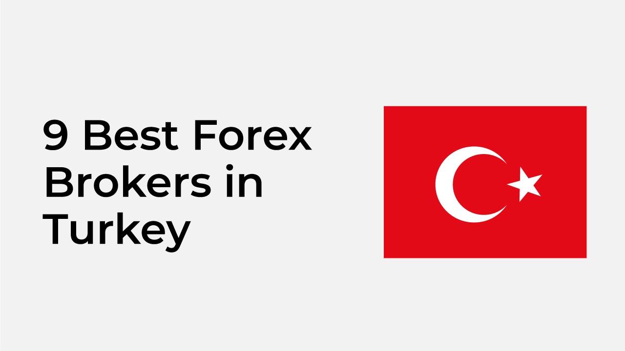 Best Forex Brokers in Turkey